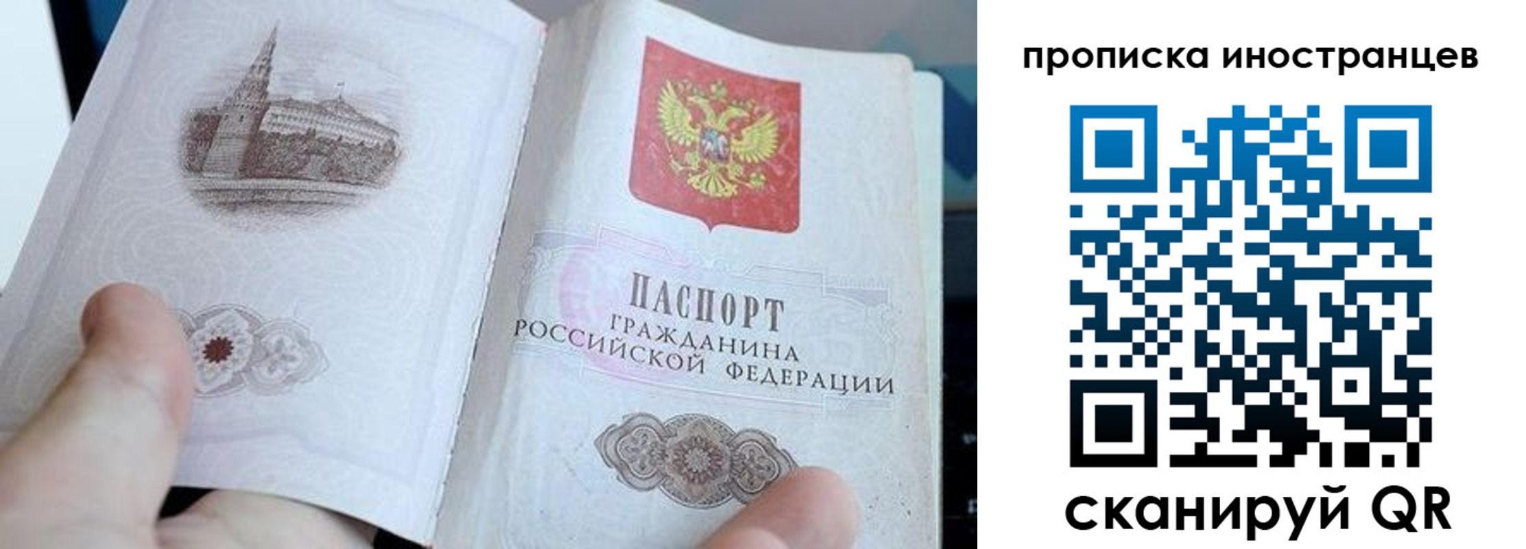 прописка поиск в Ершове